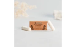 Chinchilla Vegane Zahnseide Nachfüller Plastikfrei 2 X 30 Meter