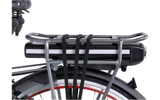 Llobe Rosendaal 3 Lady City E-Bike 28 Zoll Grau 13 Ah 7 Llobe Rosendaal 3 Lady City E-Bike 28 Zoll Grau 13 Ah – Bild 5