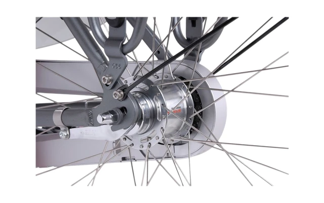 Llobe Rosendaal 3 Lady City E-Bike 28 Zoll Grau 13 Ah 8 Llobe Rosendaal 3 Lady City E-Bike 28 Zoll Grau 13 Ah – Bild 6