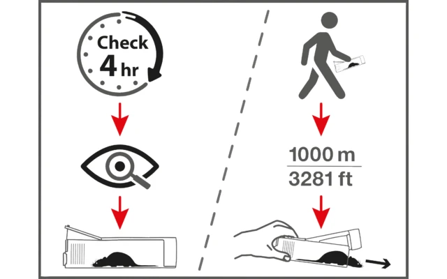 Swissinno Lebendfalle Maushaus Inkl. Köder Giftfrei 4 Swissinno Lebendfalle Maushaus Inkl. Köder Giftfrei – Bild 2